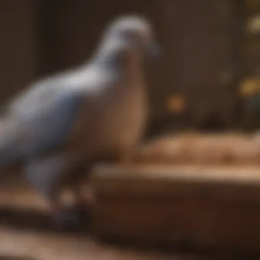 Understanding Nutritional Needs of Doves Nutritional breakdown chart for dove food