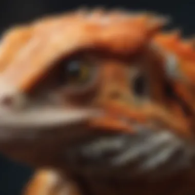 Diverse Collection of Exotic Pets A colorful array of exotic pets including reptiles and birds