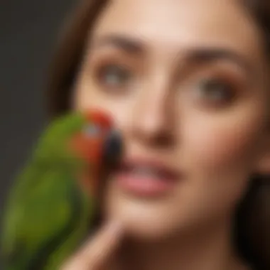 A green cheek conure interacting playfully with its owner, demonstrating social bonding.