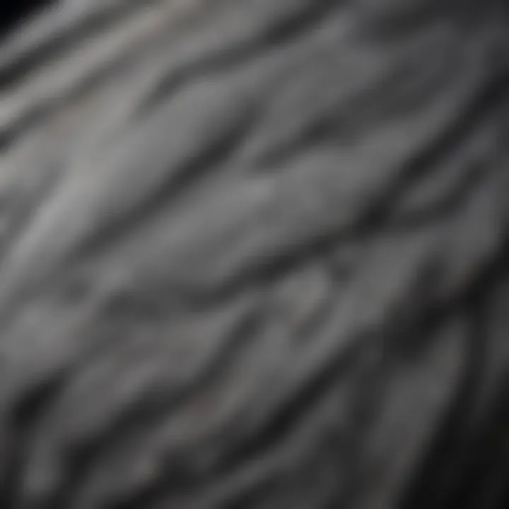 Close-up of a grey bird with intricate feather patterns
