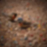 Colorful variety of seeds and grains for birds