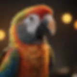 A vibrant parrot shedding old feathers during the molting season.