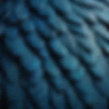 Close-up of blue parakeet feathers, highlighting the intricate patterns and colors.