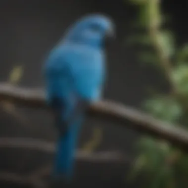 A striking blue parakeet perched on a branch, showcasing its vibrant plumage.