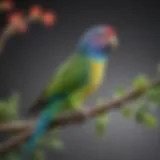 A vibrant parakeet perched on a branch, showcasing its colorful plumage.