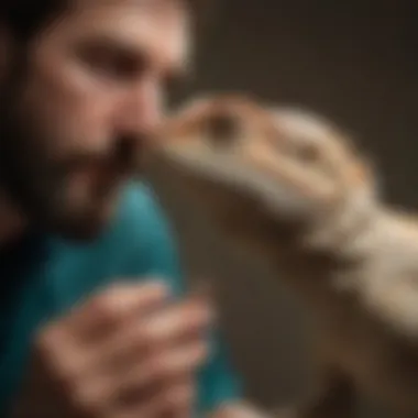 Veterinarian examining a bearded dragon for parasites