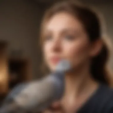 Building Bonds: The Dove and Its Owner An engaging interaction between a dove and its owner, highlighting the bond of companionship.