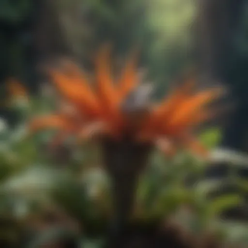 A diverse selection of plants known to be toxic to birds
