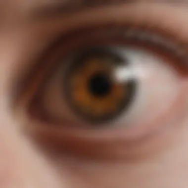 Potential Side Effects of Eye Antibiotics Graph illustrating the potential side effects of antibiotics in rabbits