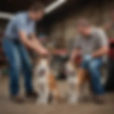 A pet receiving a rabies vaccination at a Tractor Supply location