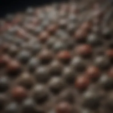 Quality Pellets for Balanced Nutrition A close-up of commercial turtle pellets designed for red-eared sliders