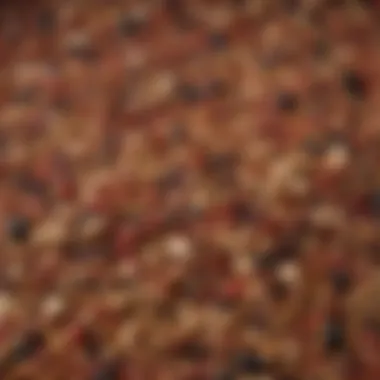 Diverse Composition of Scarlett Bird Seed Close-up view of Scarlett Bird Seed mix showcasing various seeds and grains