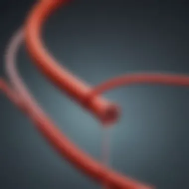 Understanding the 3.5 French Red Rubber Catheter in Veterinary Practices Summary Understanding the 3.5 French Red Rubber Catheter in Veterinary Practices Summary