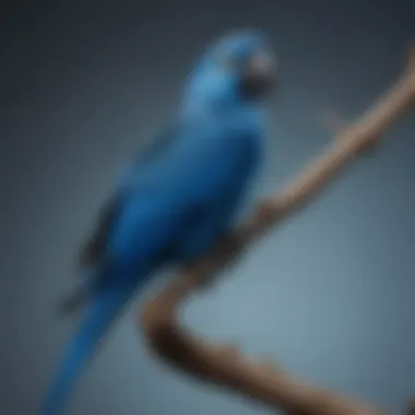 A stunning blue parrot perched on a branch showcasing its vibrant feathers