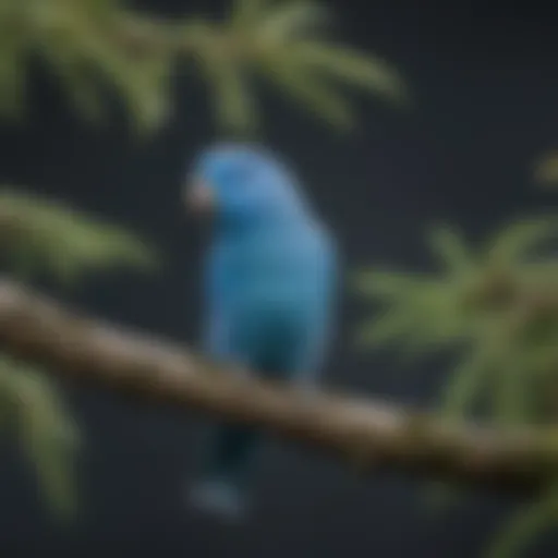 A vibrant blue parrotlet perched on a branch, showcasing its striking plumage.