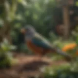 A tranquil garden scene where a pet bird might find refuge