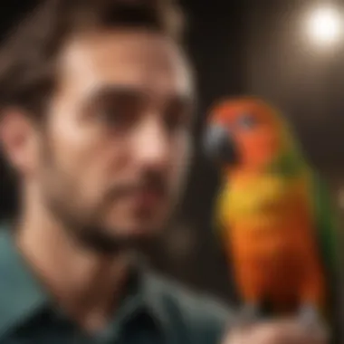 Social Interaction with Conures A playful conure interacting with its owner, demonstrating social behavior.