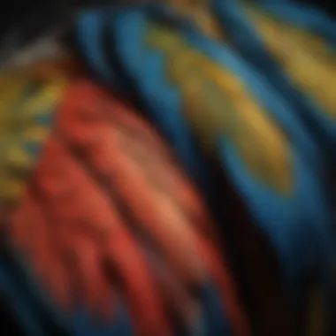 A Closer Look at Macaw Plumage Detailed view of macaw feathers showcasing their colorful patterns