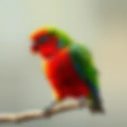 Understanding the Price of Lovebirds: A Comprehensive Guide Introduction