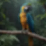 A vibrant blue macaw perched on a branch showcasing its feathers