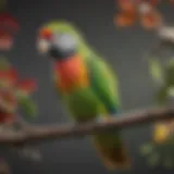 A vibrant Quaker parrot perched on a branch, showcasing its colorful feathers.