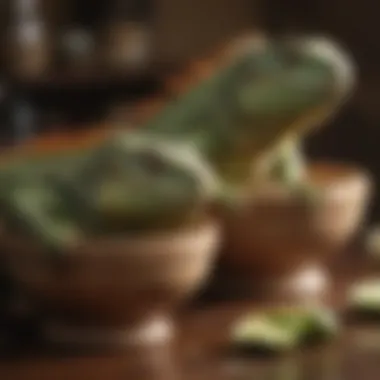 Nutritional Essentials for Senior Iguanas Nutritional food options for senior iguanas displayed in bowls