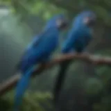 Vibrant blue macaw perched on a branch