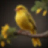 A vibrant canary perched on a branch, showcasing its bright yellow feathers.