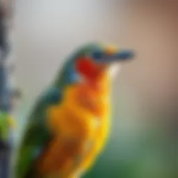 Where to Buy Live Birds: A Comprehensive Guide Introduction